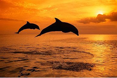 任天堂Indie World独立游戏直面会 多款游戏发布