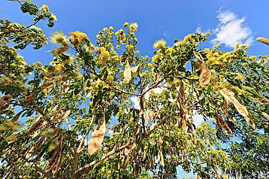 《魔界战记7》Steam页面上线 预计2023年秋季发售